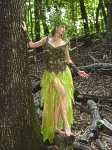 Dryad